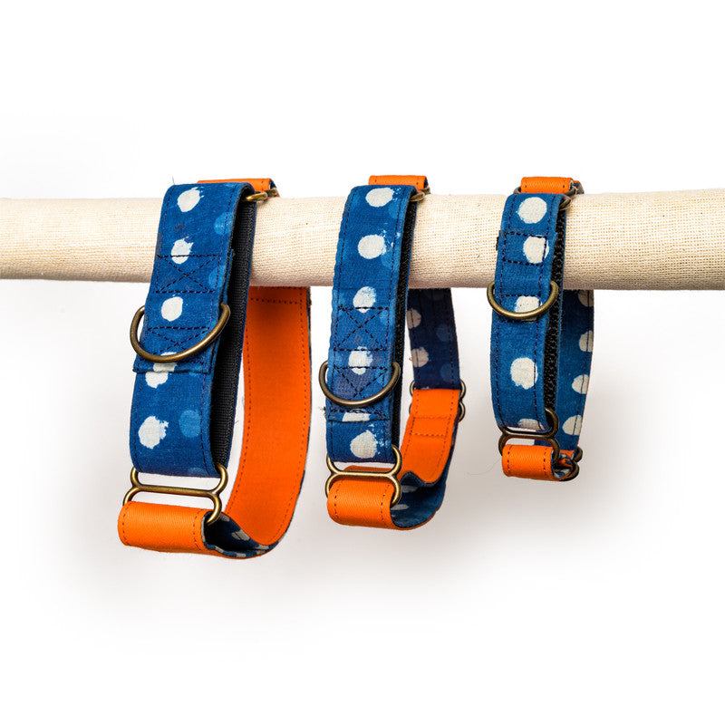 Orange Fabric Martingale Collar