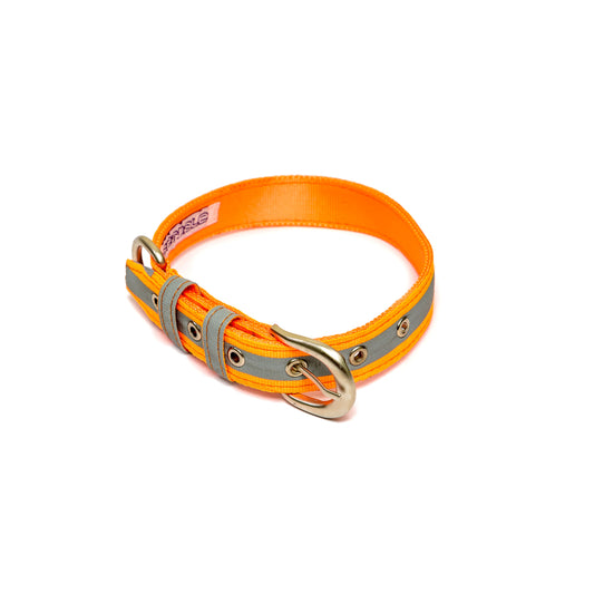 Reflective Orange Nylon Belt Collar