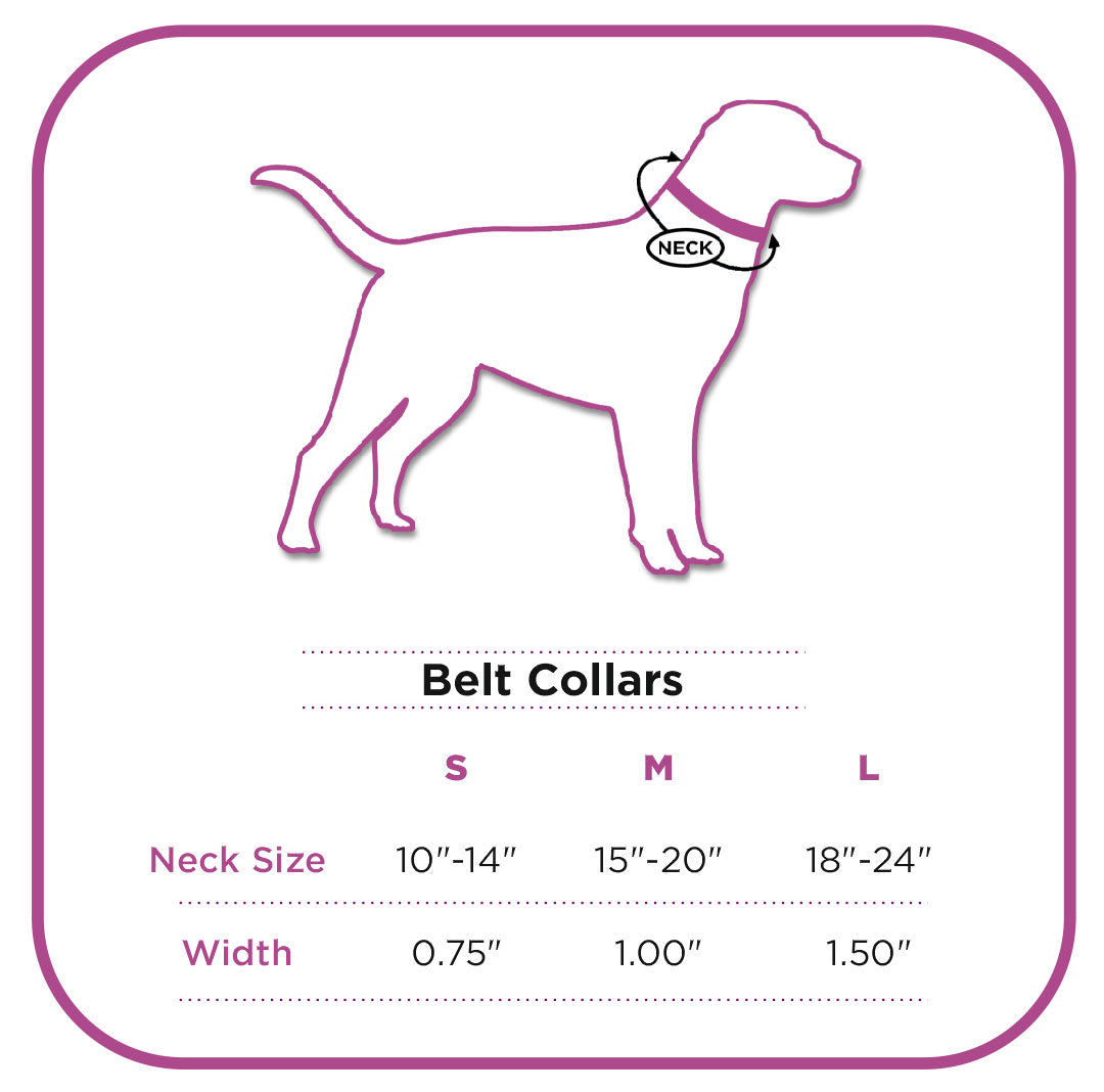 Red Fabric Belt Collar