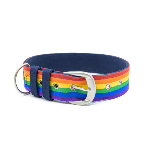 Rainbow Pride Fabric Belt Collar