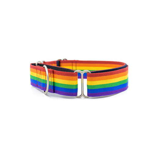 Rainbow Pride Fabric Martingale Collar