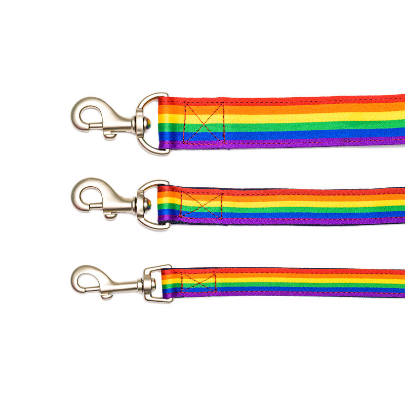 Rainbow Pride Fabric Leash with Padded Handle