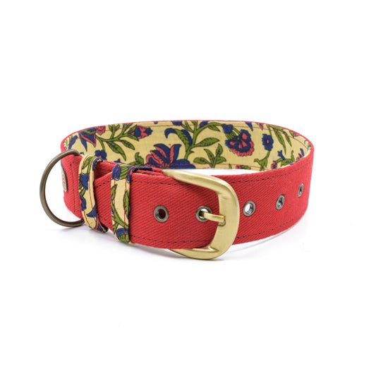 Red Fabric Belt Collar