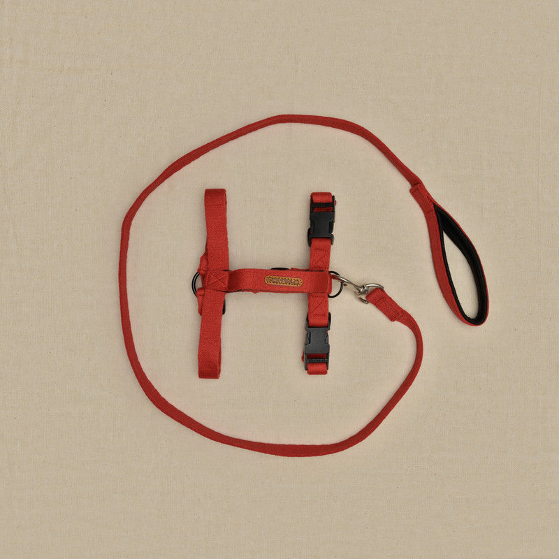 Red Cotton H-Harness and Leash with Padded Handle