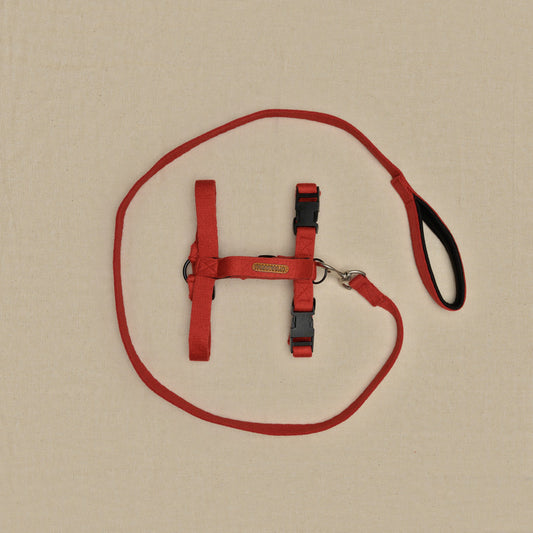Red Cotton H-Harness and Leash with Padded Handle