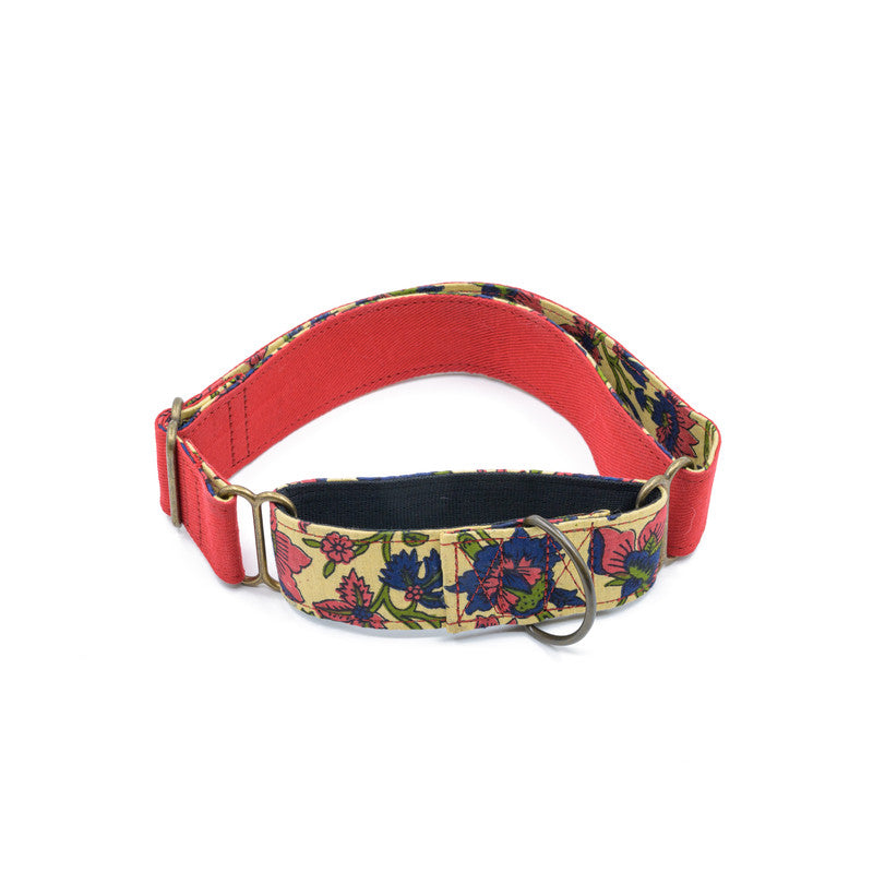 Red Fabric Martingale Collar