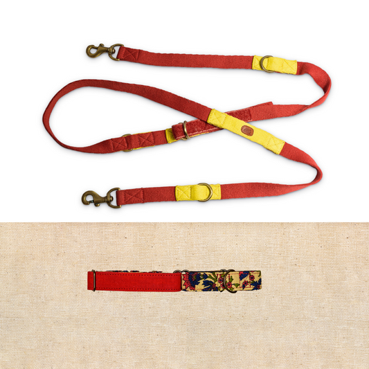 Red Martingale Collar with Multi-Function Leash