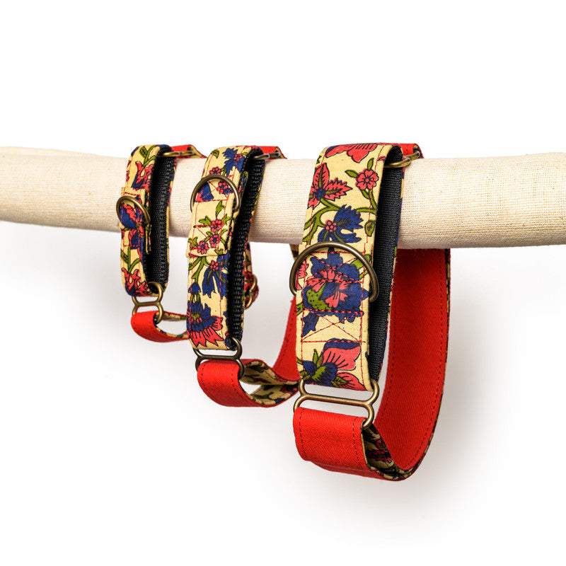Red Fabric Martingale Collar