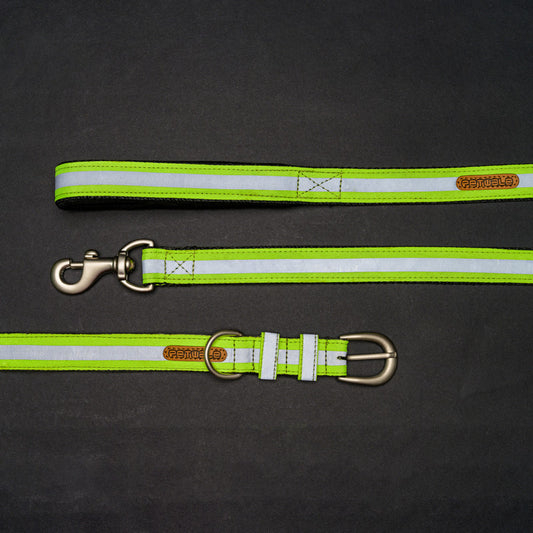 Reflective Green Nylon Belt Collar and Leash with Padded Handle