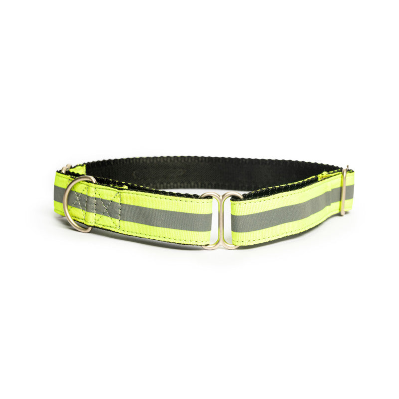 Reflective Green Nylon Martingale Collar