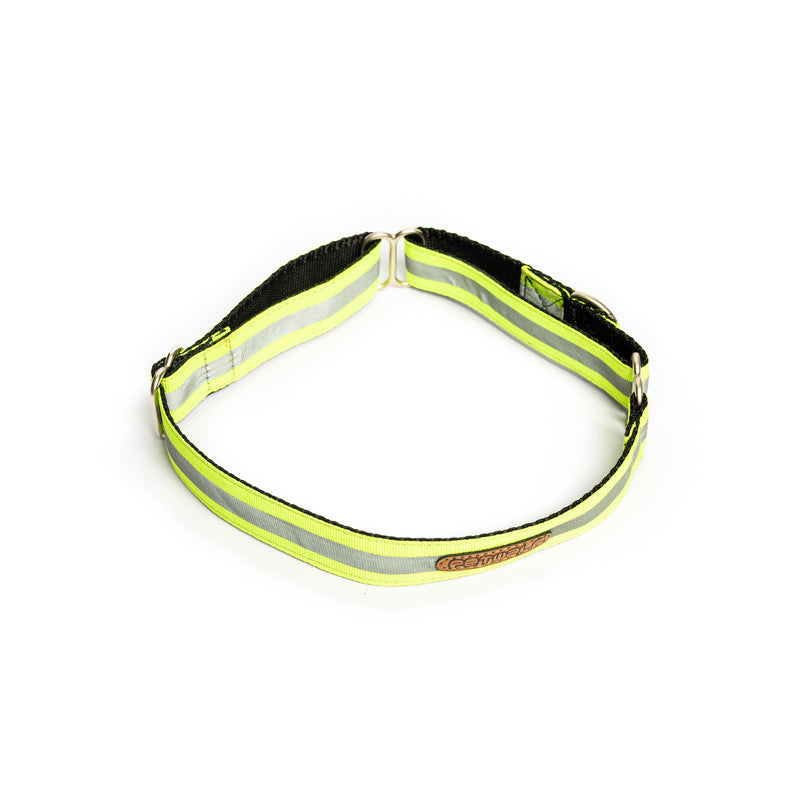 Reflective Green Nylon Martingale Collar