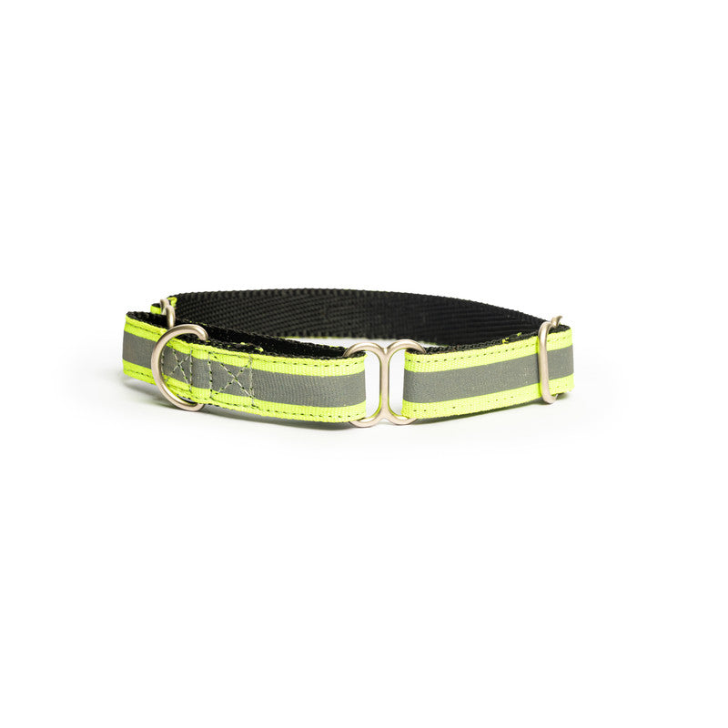 Reflective Green Nylon Martingale Collar