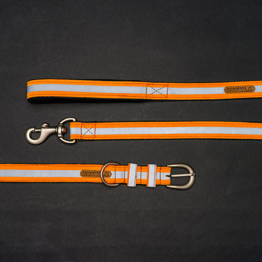 Reflective Orange Nylon Belt Collar and Leash with Padded Handle