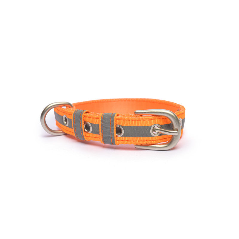 Reflective Orange Nylon Belt Collar