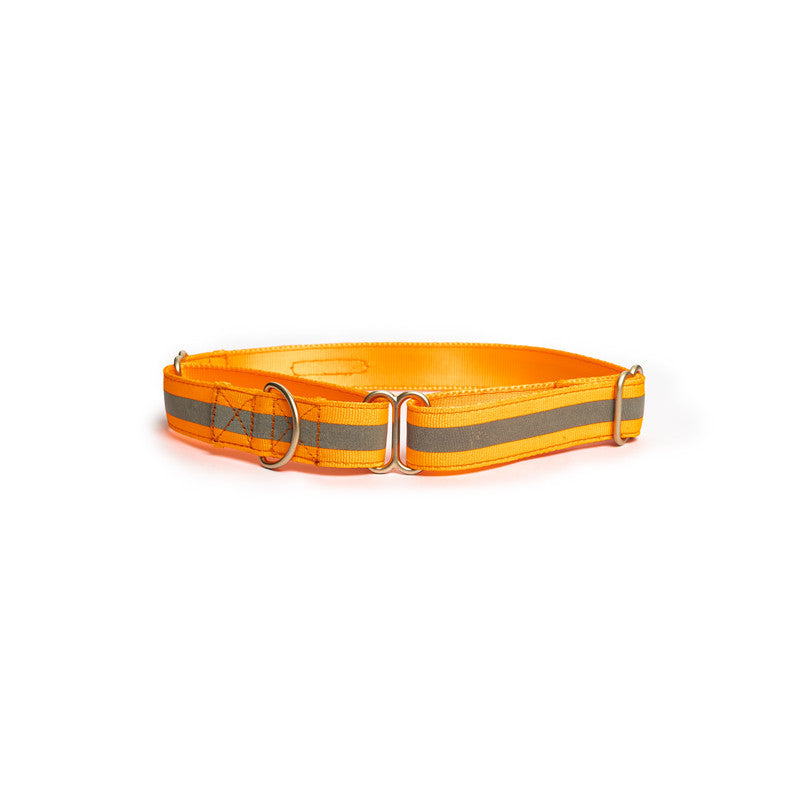 Reflective Orange Nylon Martingale Collar