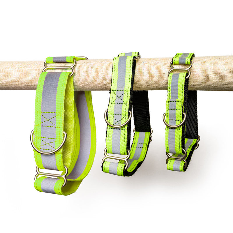 Reflective Green Nylon Martingale Collar