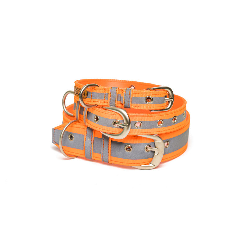 Reflective Orange Nylon Belt Collar