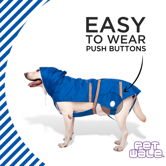 Royal Blue Raincoat with Reflective Strips