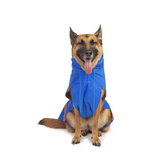 Royal Blue Raincoat with Reflective Strips