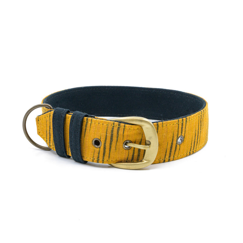 Tiger Print Fabric Belt Collar