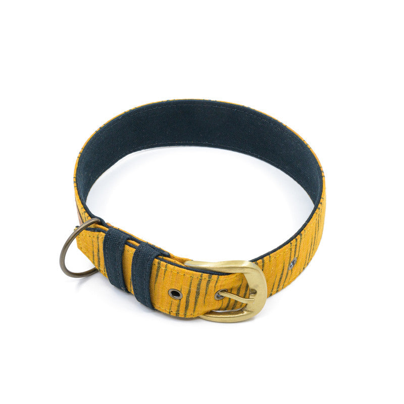 Tiger Print Fabric Belt Collar