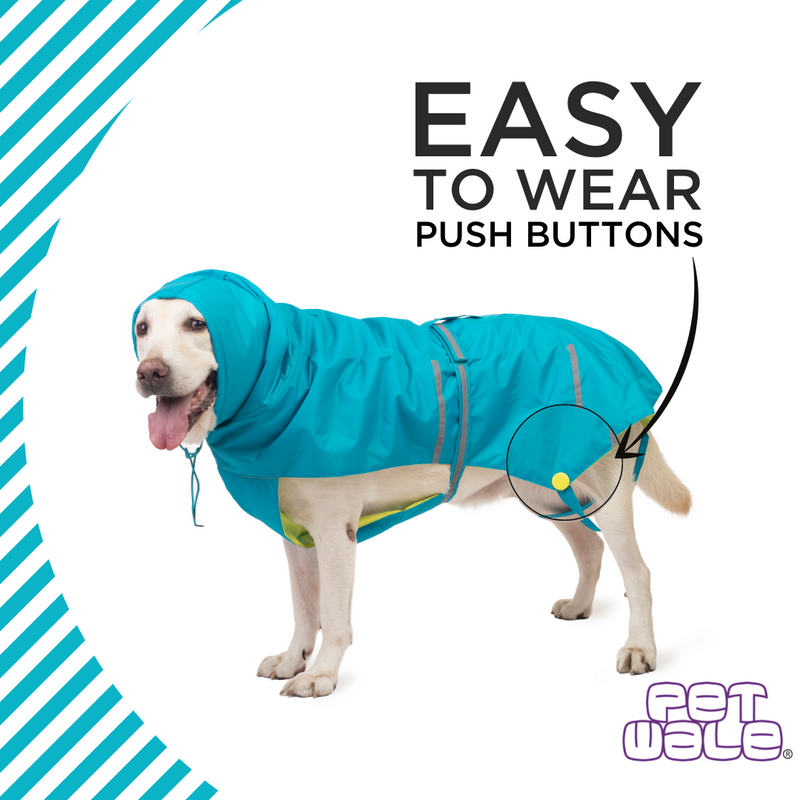 Turquoise Raincoat with Reflective Strips