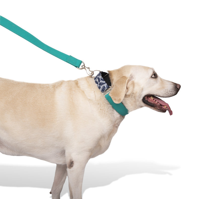 Turquoise Fabric Leash with padded handle