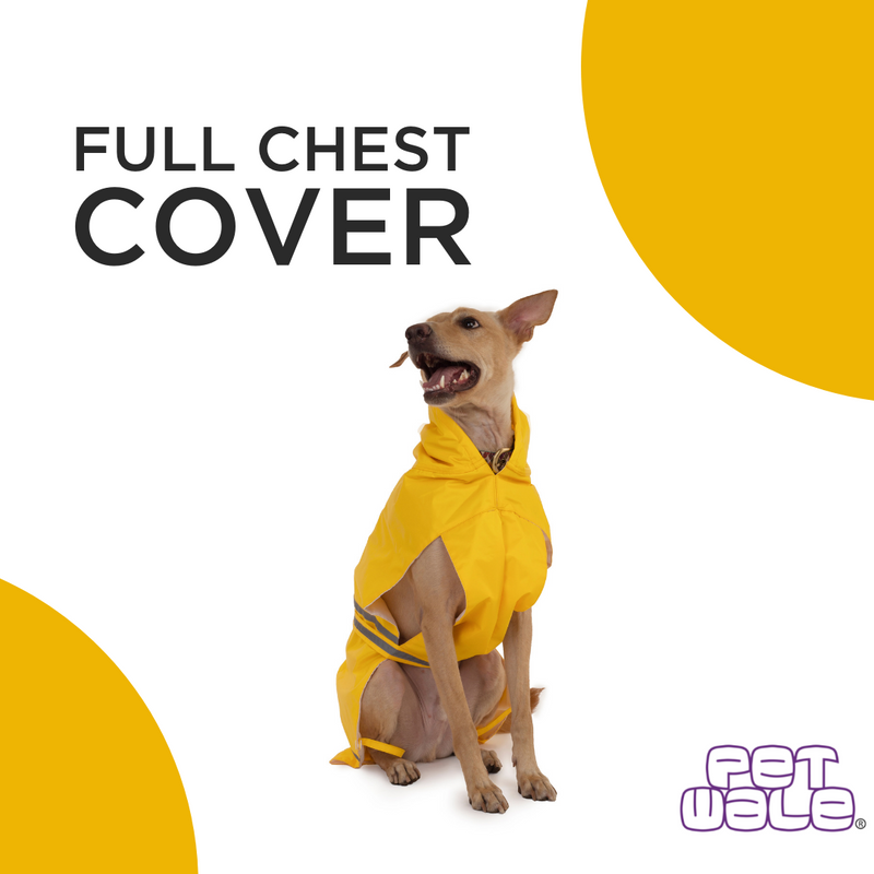 Yellow Raincoats with Reflective Strips