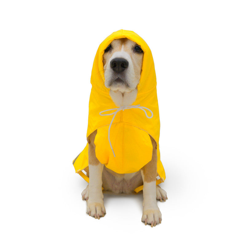 Yellow Raincoats with Reflective Strips